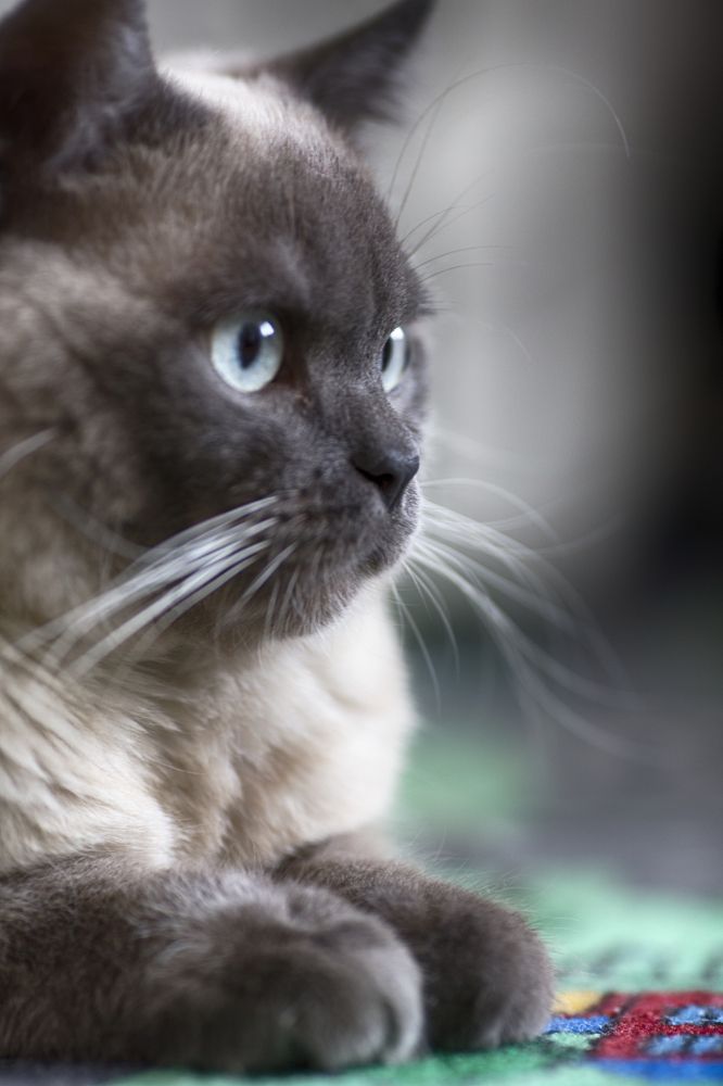 Photograph by Tatiana Kurilas