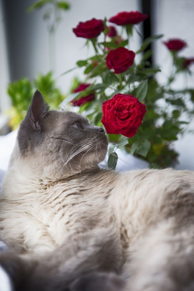 Photograph by Tatiana Kurilas