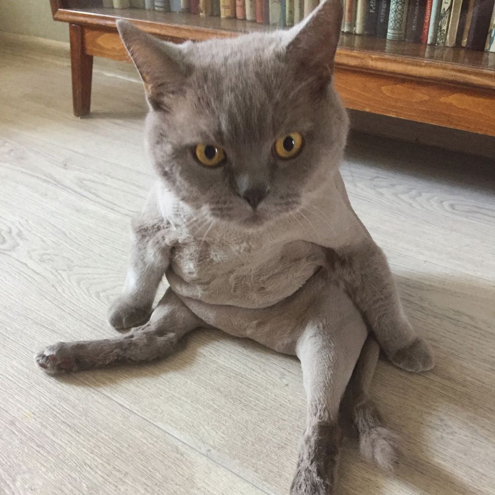 Фотография автора Ольга Забрянская