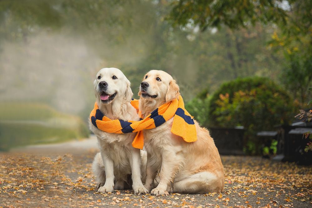 Photograph by Анастасия Мельник