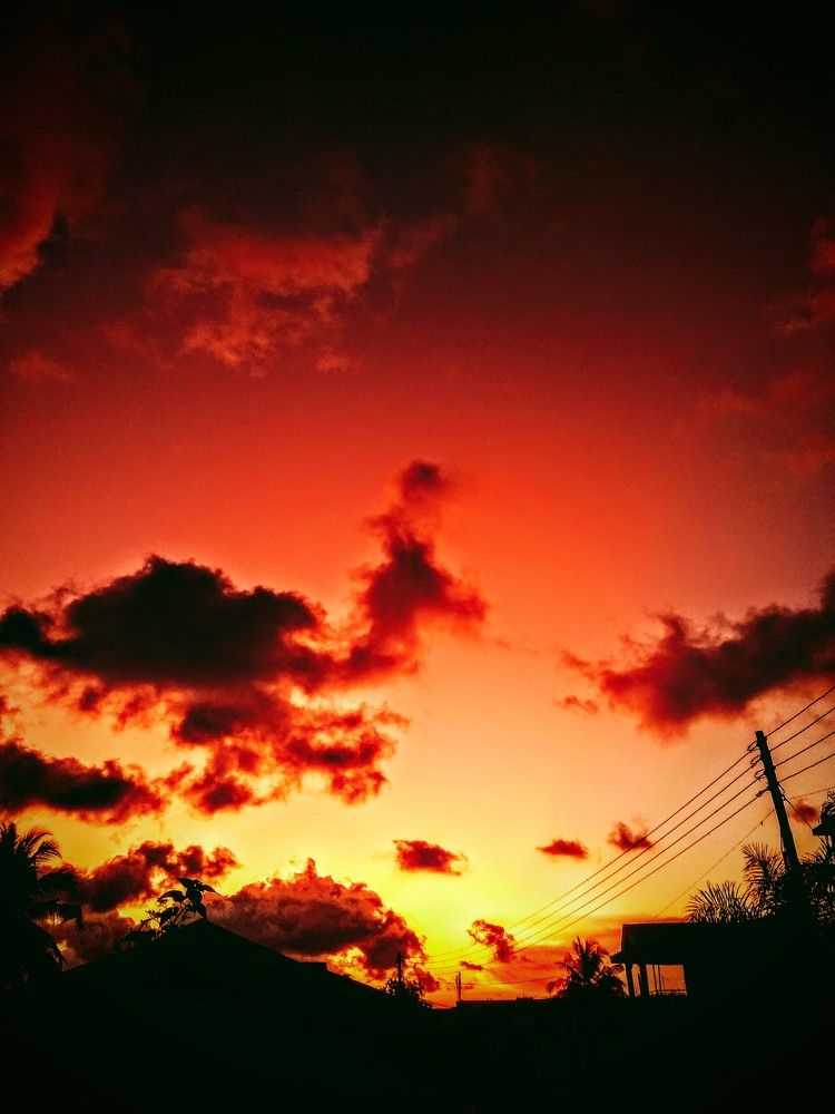 Photo #6112141