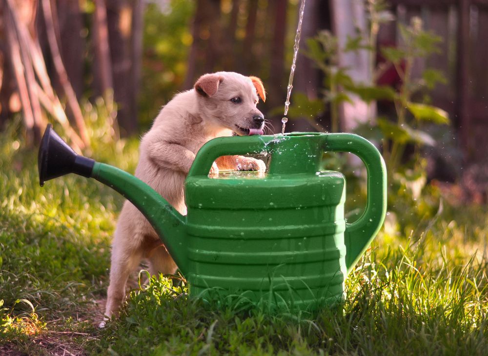 Photograph by Инна Буглак