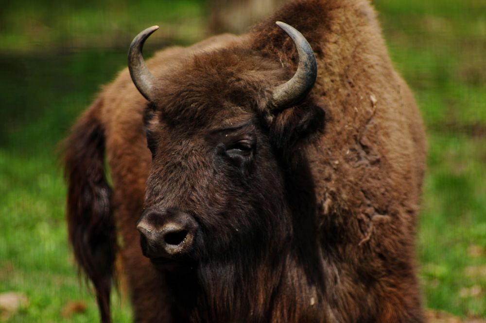 Photograph by Константин Лагоденко