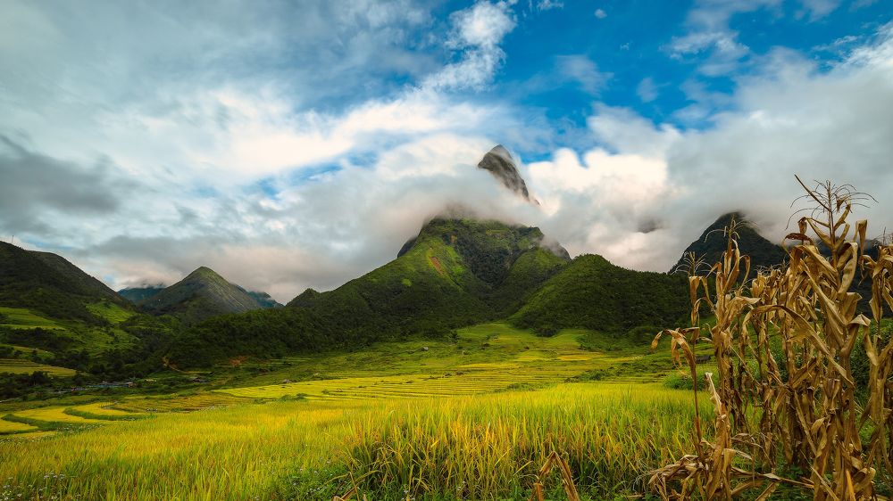 Photograph by Dương Việt