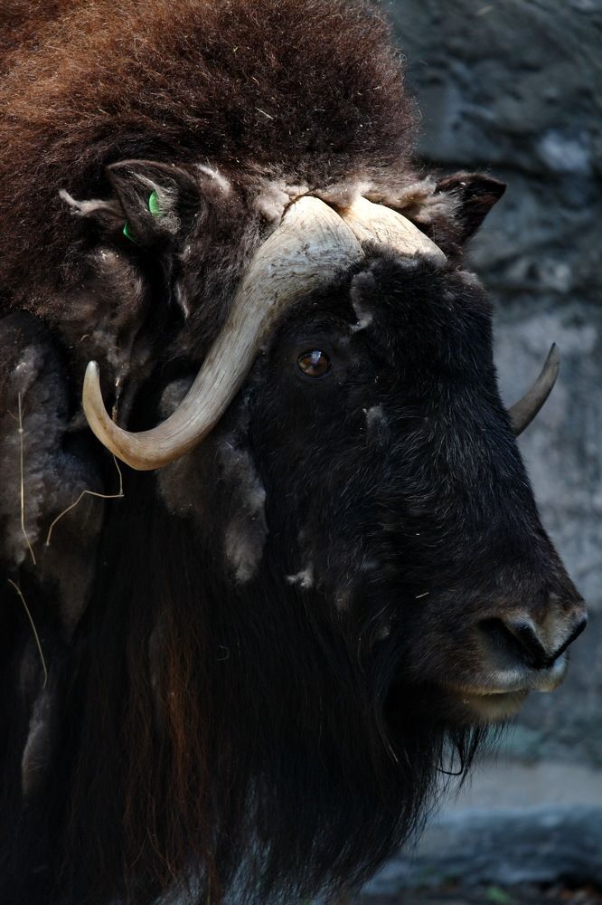 Photograph by Константин Лагоденко