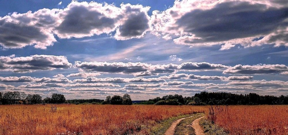 Photograph by Любовь Фёдорова