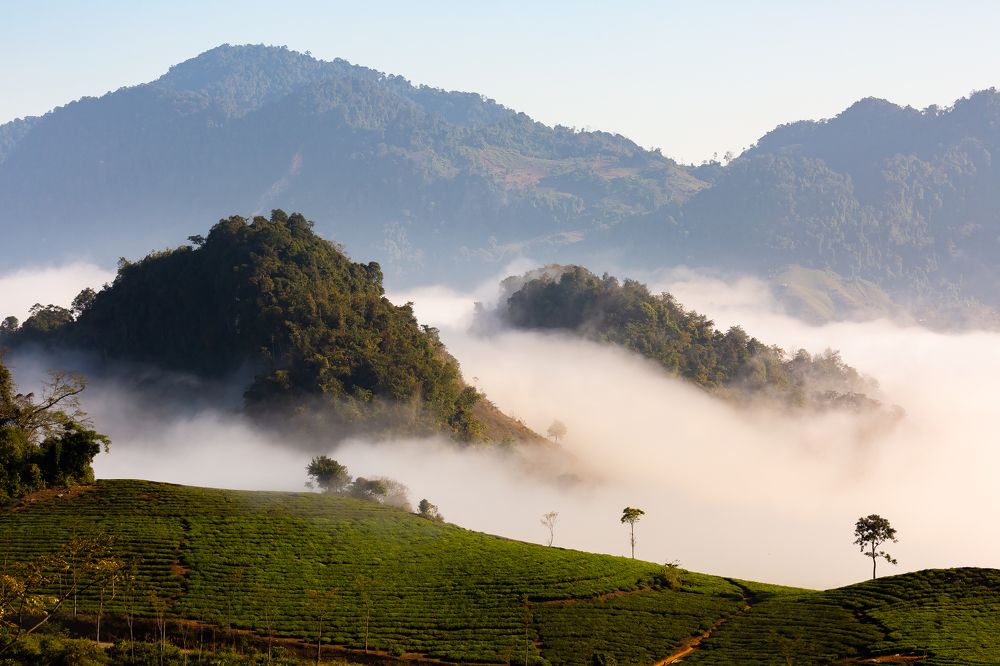 Photograph by Dương Việt