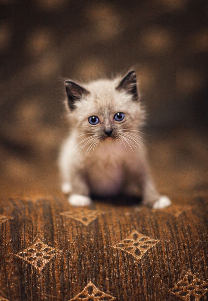 Photograph by Татьяна Муравкина