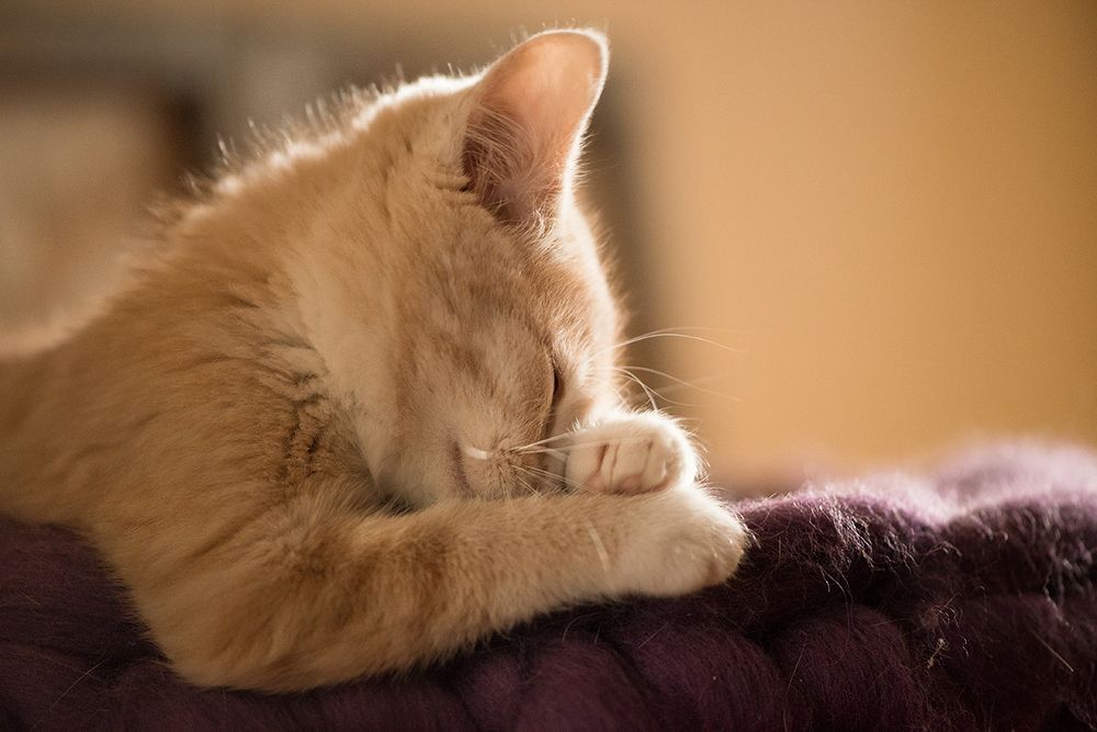 Photograph by Светлана Кужагалиева