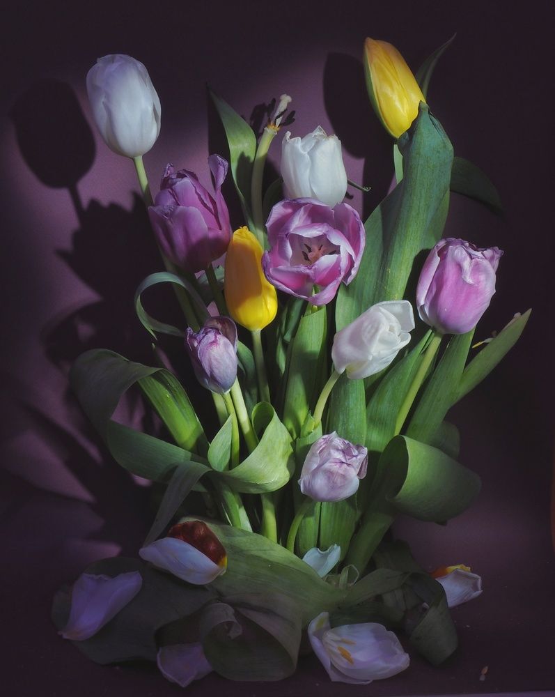 Photograph by Анастасия Иванова