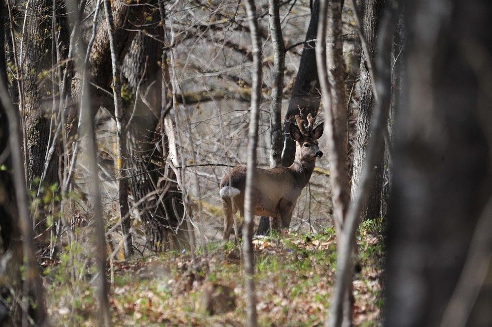 Photograph by Юрий Яковлев