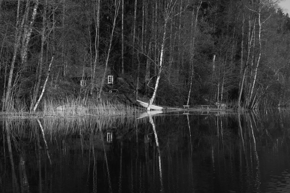 Photograph by Виталий Татаринов