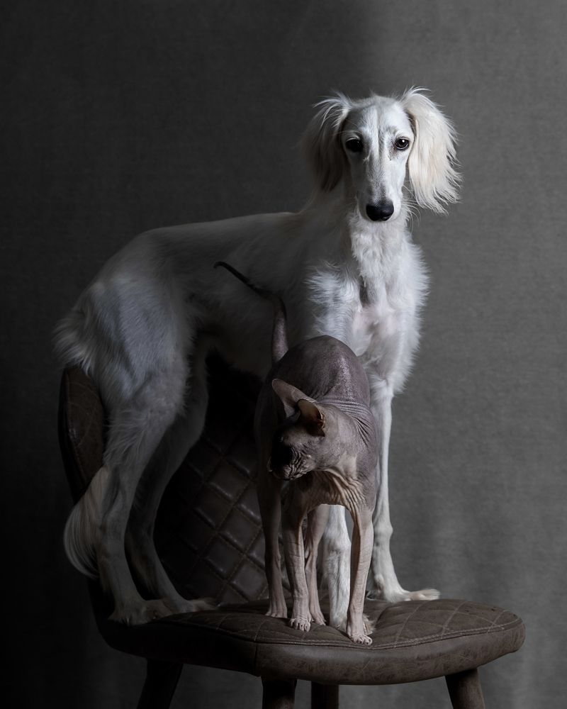 Ночной дозор