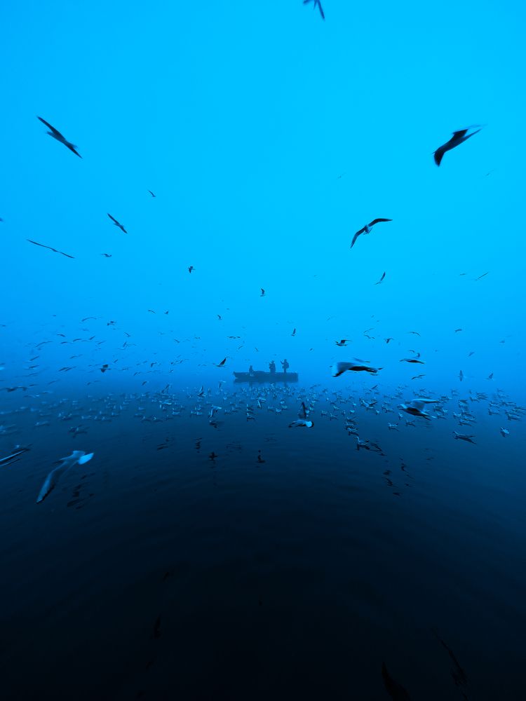 Photograph by Saurabh Suman