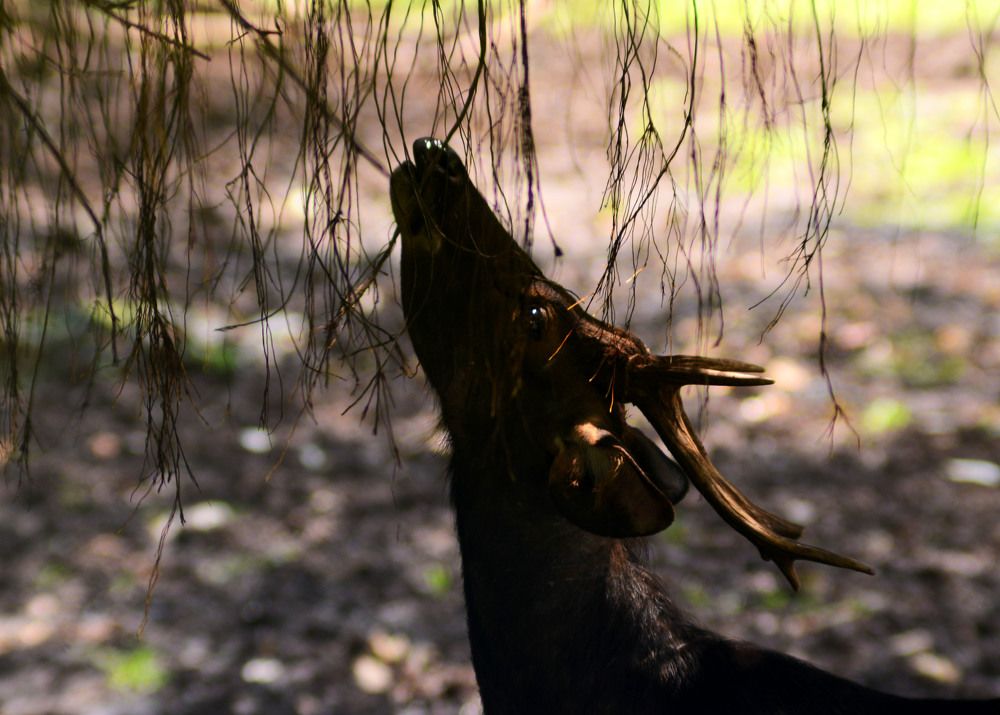 Photograph by Cakrawala Seti