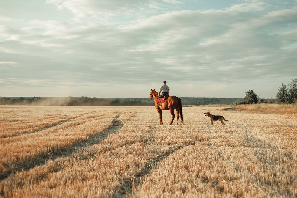 Photograph by Александр Плисик