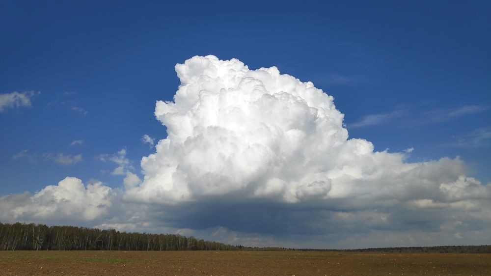 Photograph by Karine Galustova