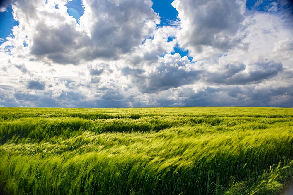 Photograph by Katrin Antares