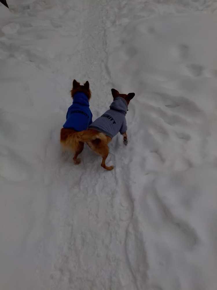 Photograph by Нина Гирнык