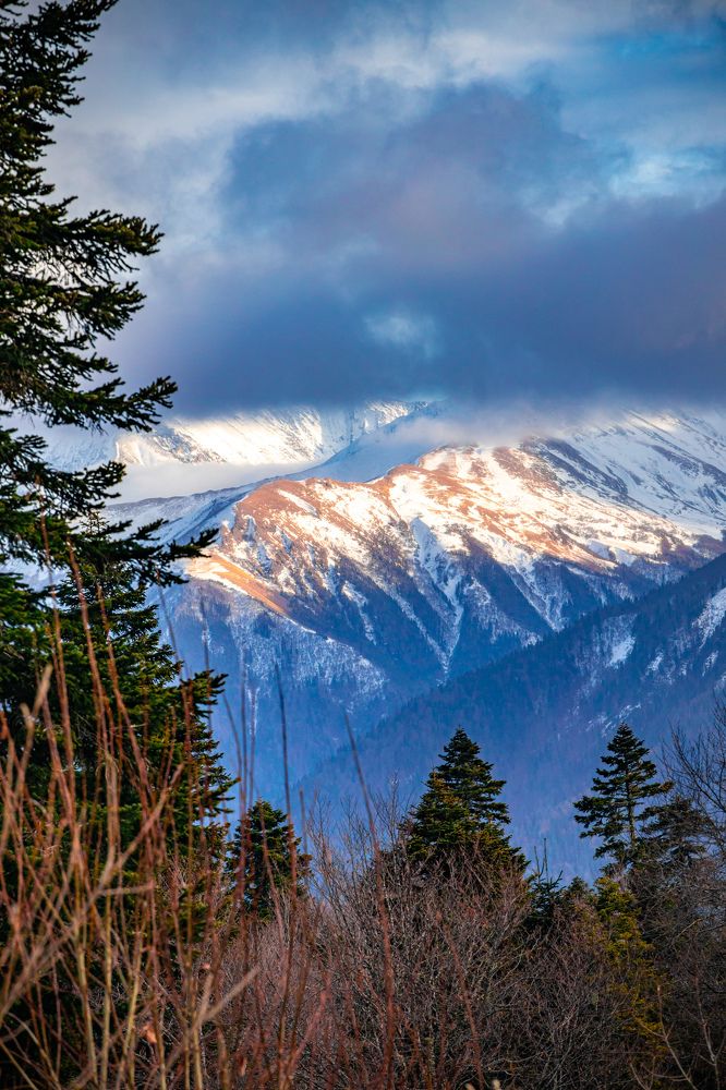 Photograph by Katrin Antares