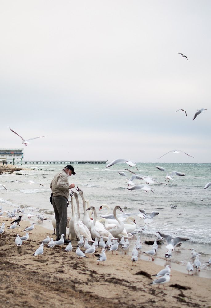 Евпаторийские «голуби»