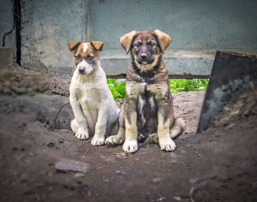 Photograph by Нина Будникова