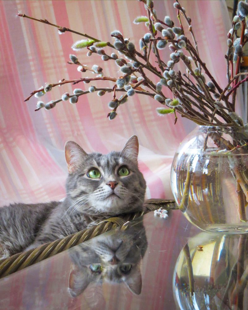 Photograph by Нина Будникова