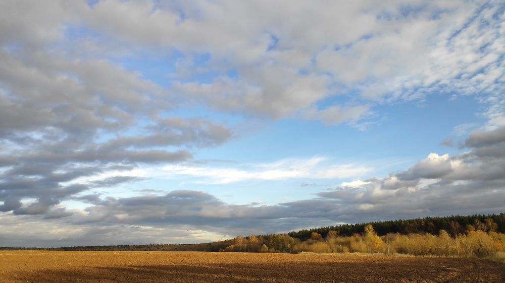 Photograph by Karine Galustova