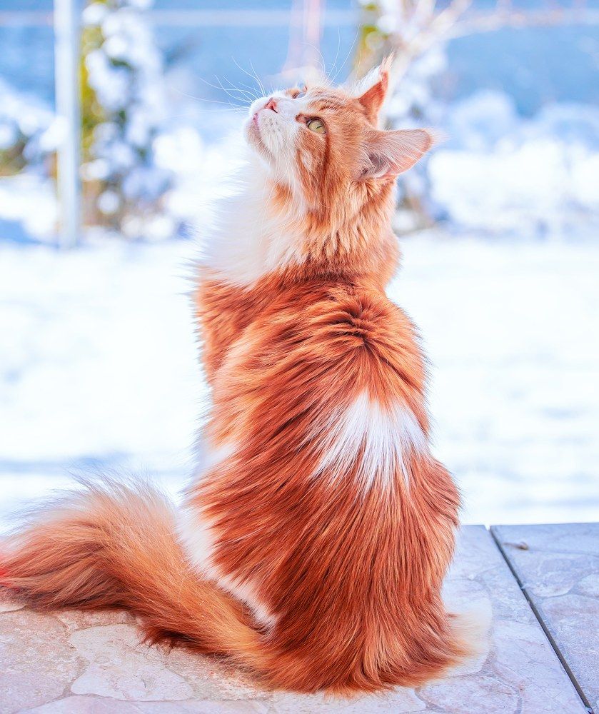 Photograph by Katrin Antares