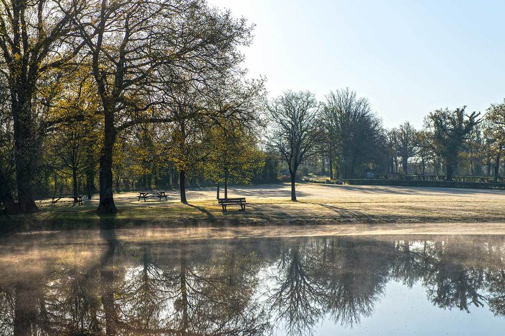 Photograph by Victor