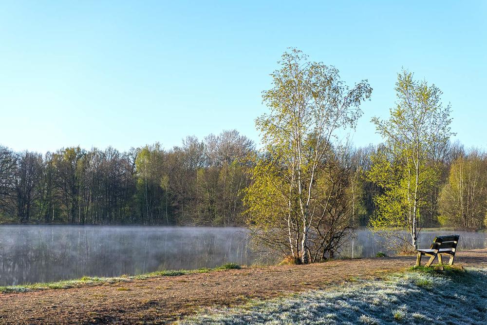 Photograph by Victor