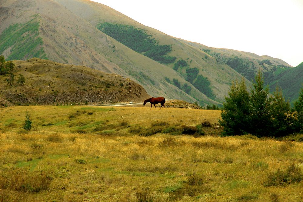 Photograph by федотов Алексей
