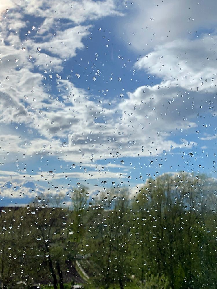 Сквозь дождливое стекло…