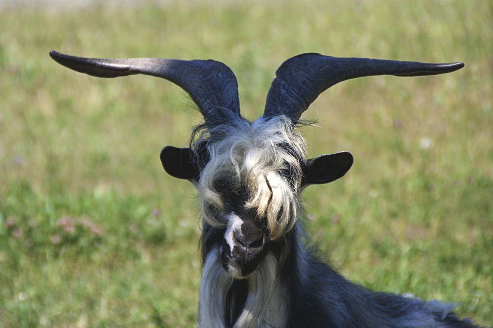 Photograph by Ольга Алексейчик