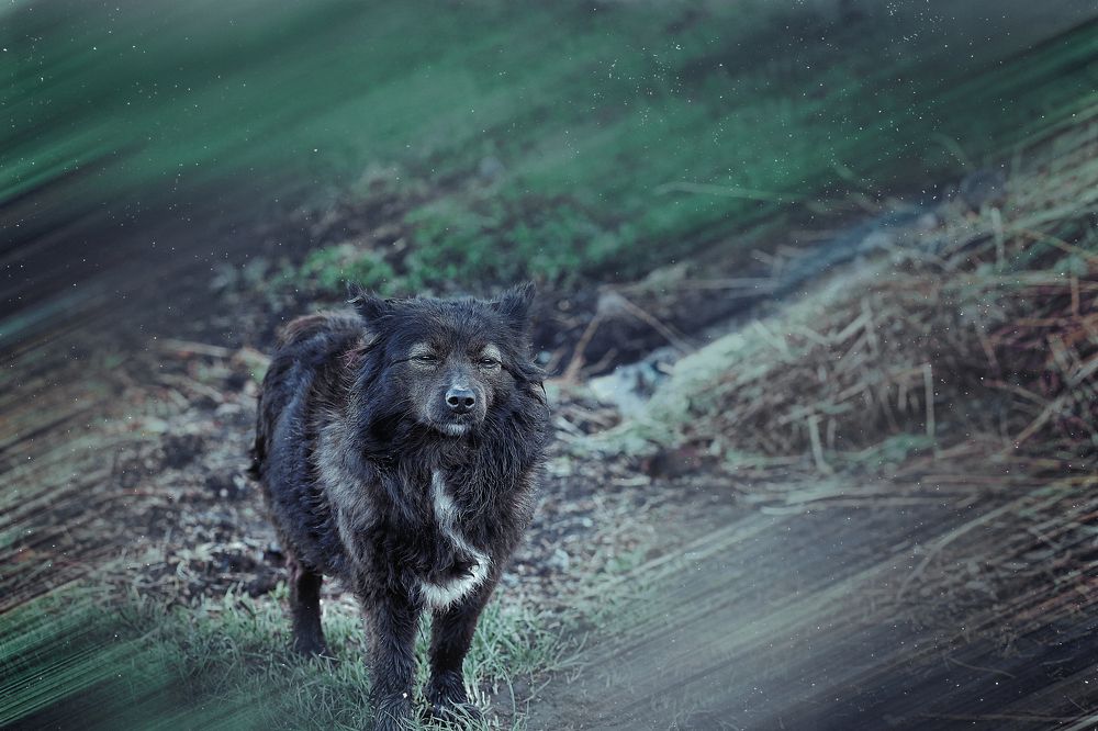 Фотография автора Наталья Ходюк