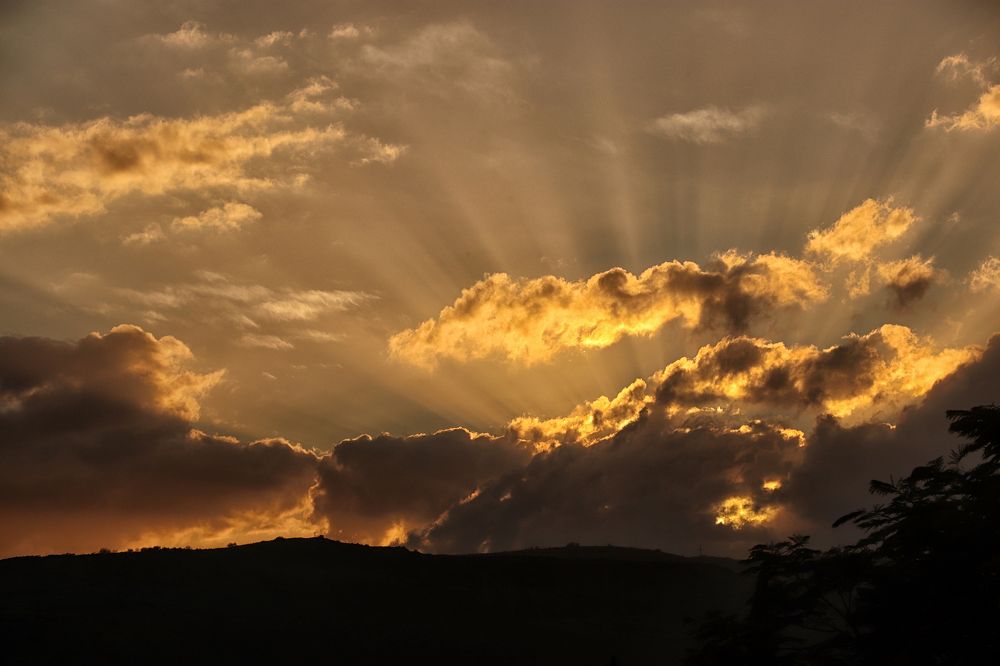 Photograph by Drora Baharal