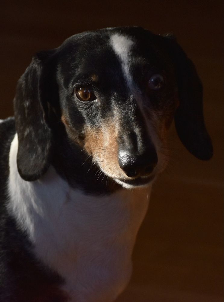 Photograph by Елена Антонова