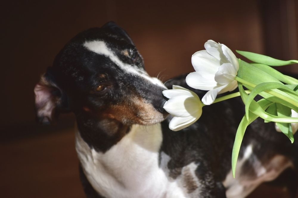 Photograph by Елена Антонова