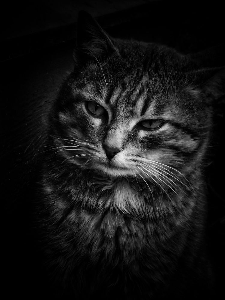 Photograph by Екатерина Ремез