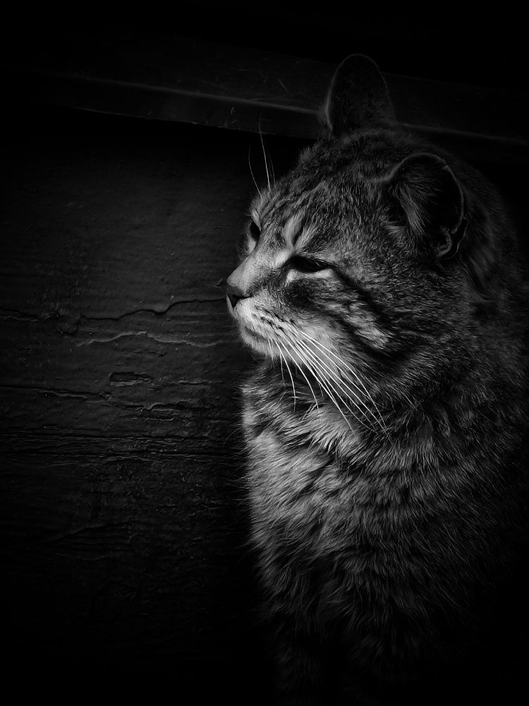 Photograph by Екатерина Ремез