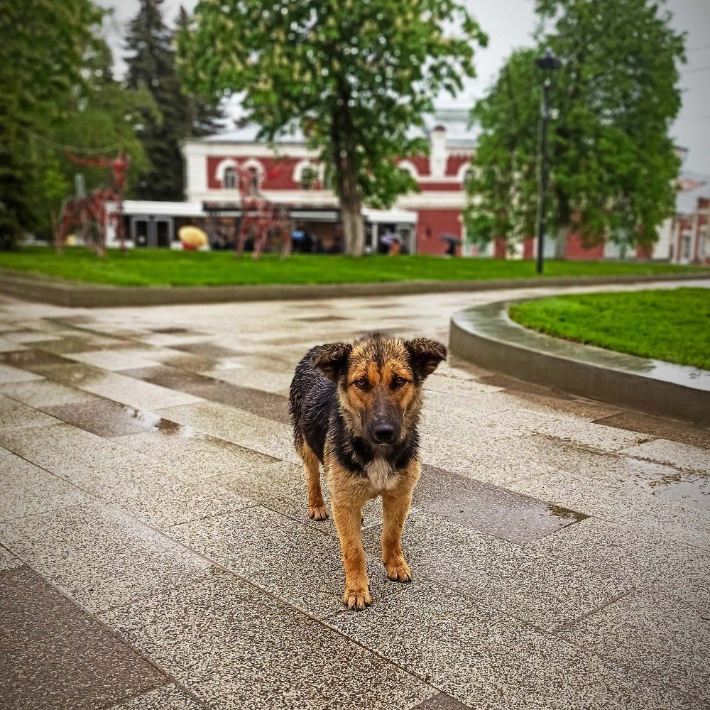 Photograph by Елена Малютина