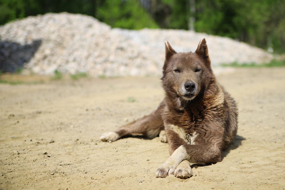 Везунчик Ирка 2021
