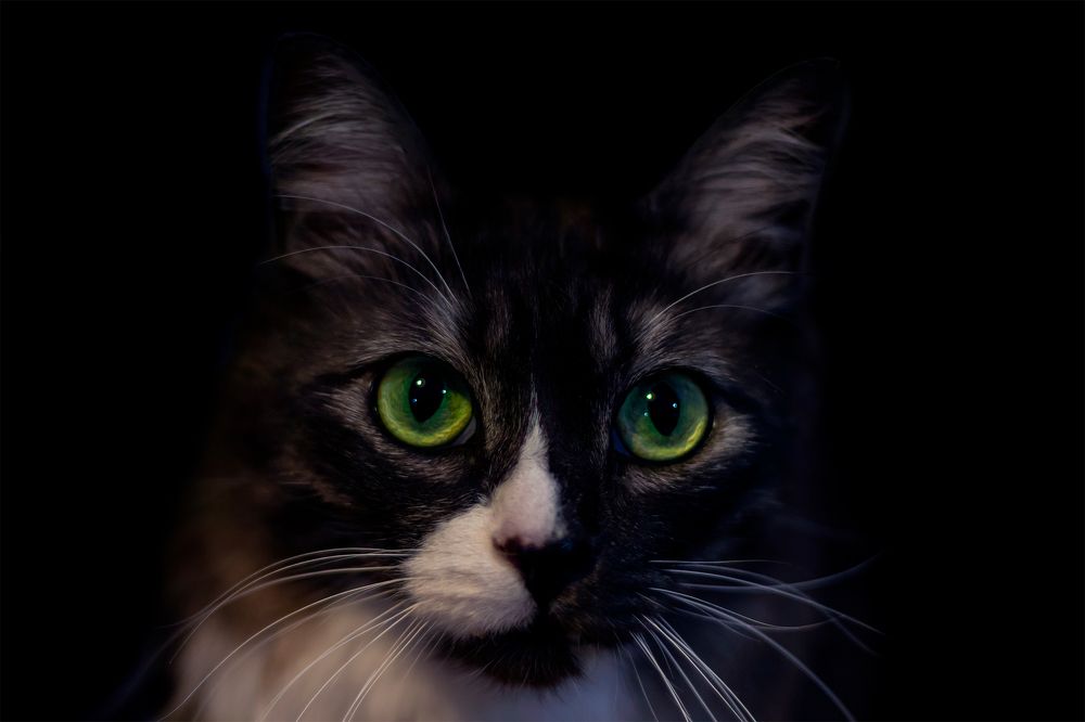 Photograph by Evgeniia Iakimenko