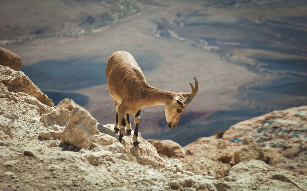 Фотография автора Григорий Крамаренко