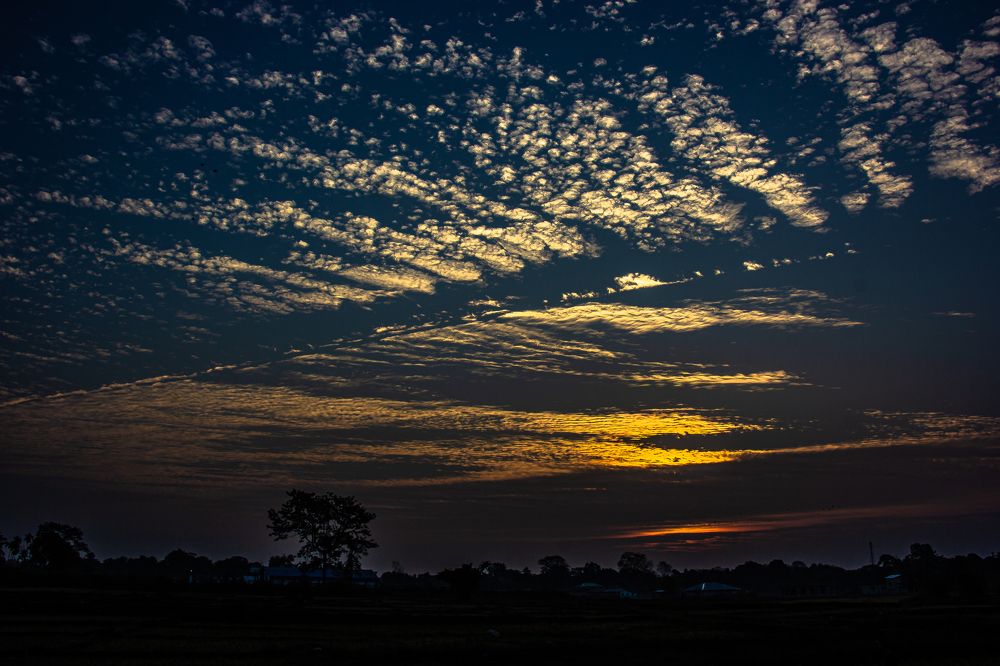 Photograph by Susobhan Biswas