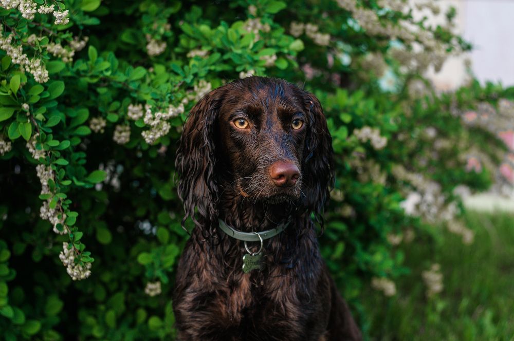 Photograph by Динара Зуйкова