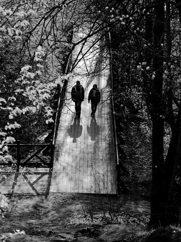 Photograph by Дмитрий Григорьев