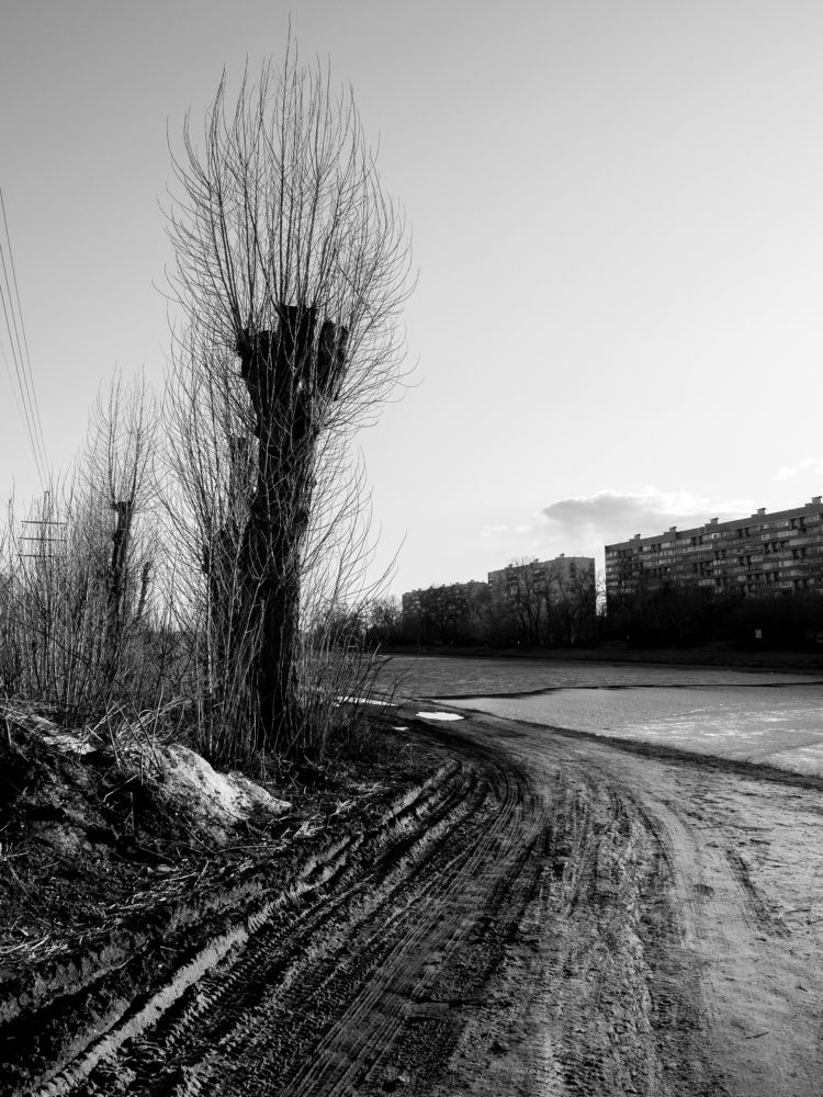 Photograph by Дмитрий Григорьев