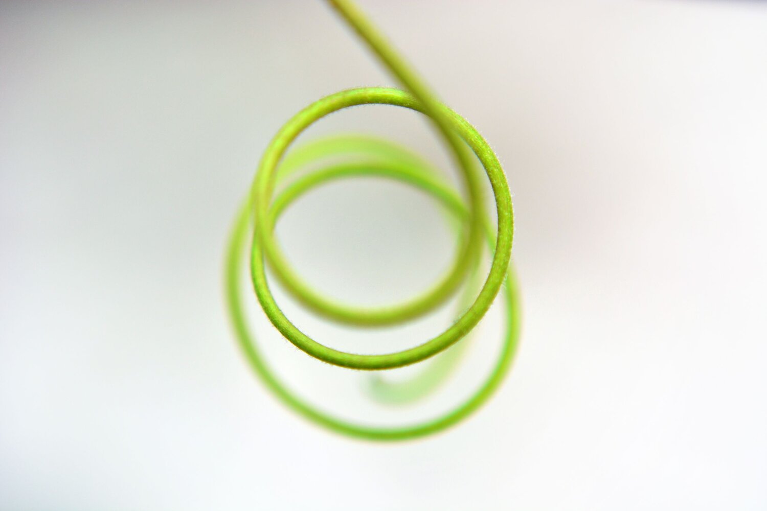 tendril