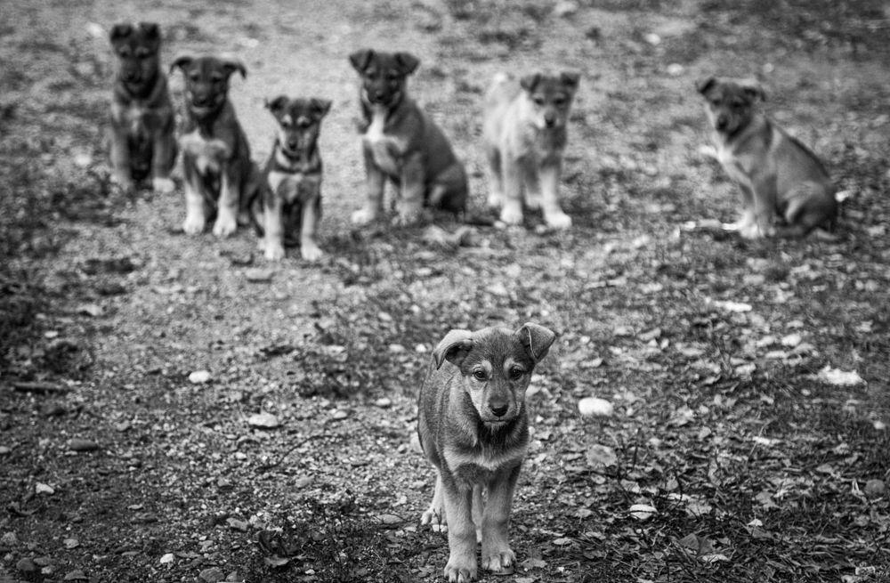 Ребята с нашего двора